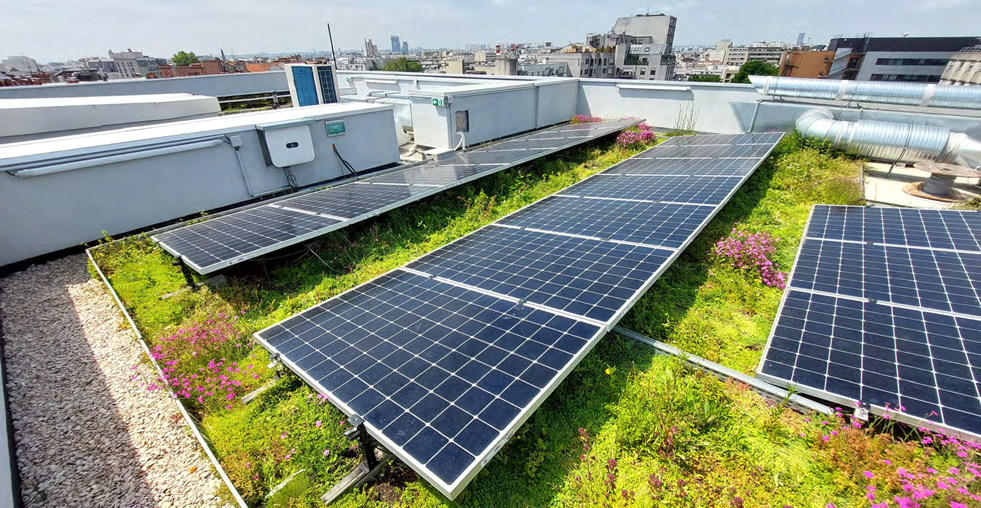 Green Roofs and Solar Panels