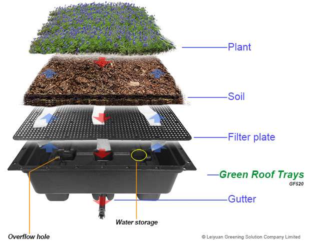 green roof tray